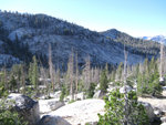 Yosemite 2010 043