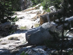 Yosemite 2010 049