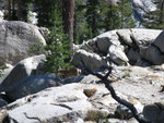 Yosemite 2010 147