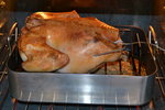 Roasting a Turkey