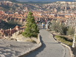 Trail to Bryce Point