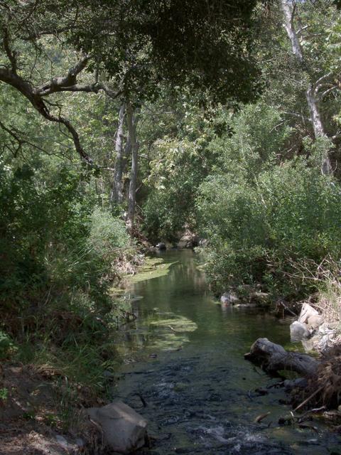 Conejo Creek