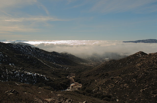 Looking out at the marine layer