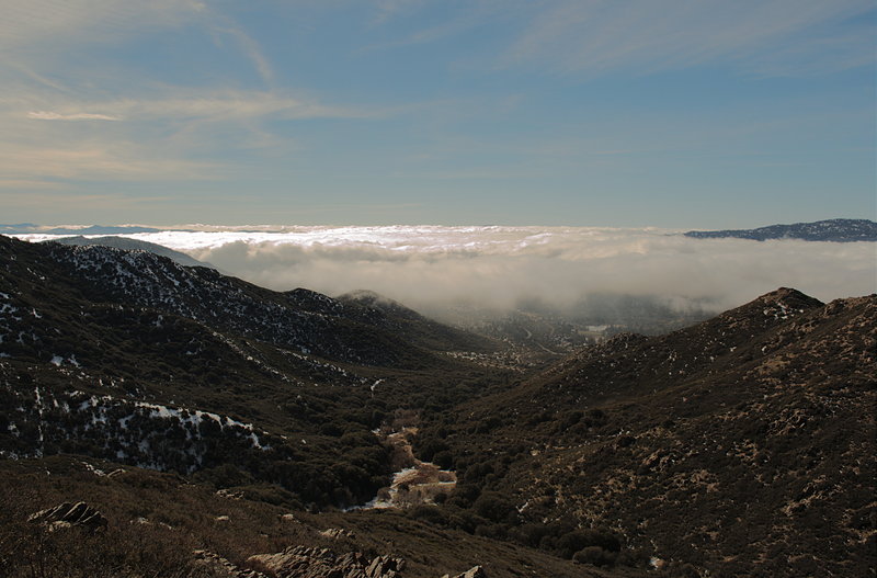 Looking out at the marine layer