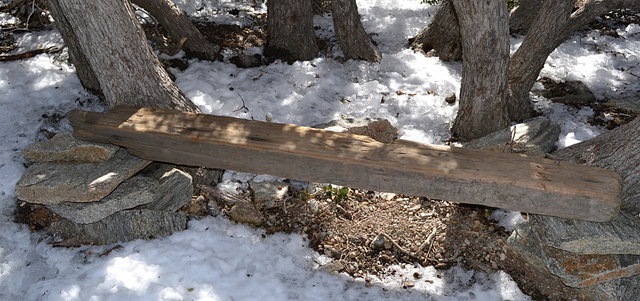 A bench at the trail junction