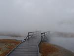 Walkway to Boiling Springs Lake with Fog