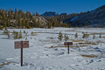 Long Meadow and Mathes Crest