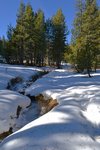 Porcupine Creek in December