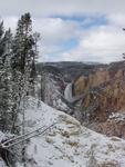 Lower Yellowstone Falls and Fresh Snow