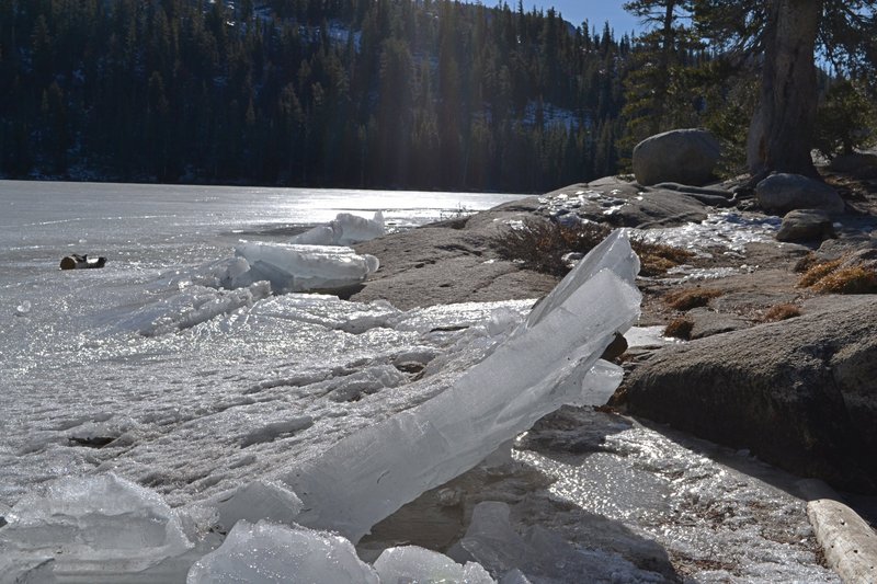 Ice slabs on the shore of Tenaya Lake