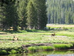 Yosemite 2011 035