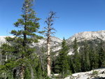 Yosemite 2011 045