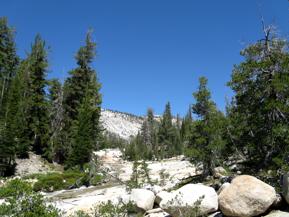 Yosemite 2011 048