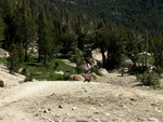 Yosemite 2011 071