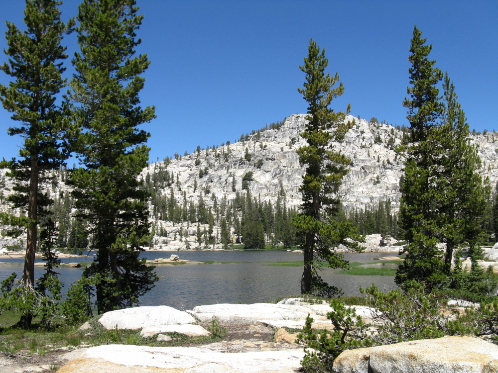 Yosemite 2011 084