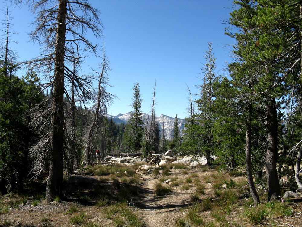 Yosemite 2011 117