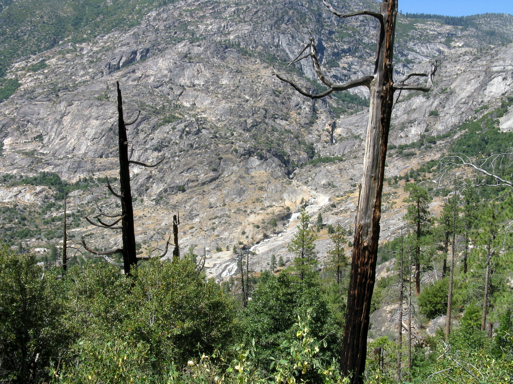 Yosemite 2011 128