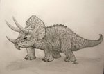 Young Triceratops Dinosaur