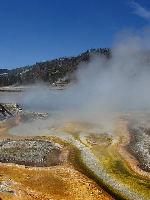 Colorful Outflow at Biscuit Geyser Basin