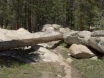 Use Trail to the Tuolumne River