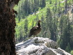 Yosemite 2013 006