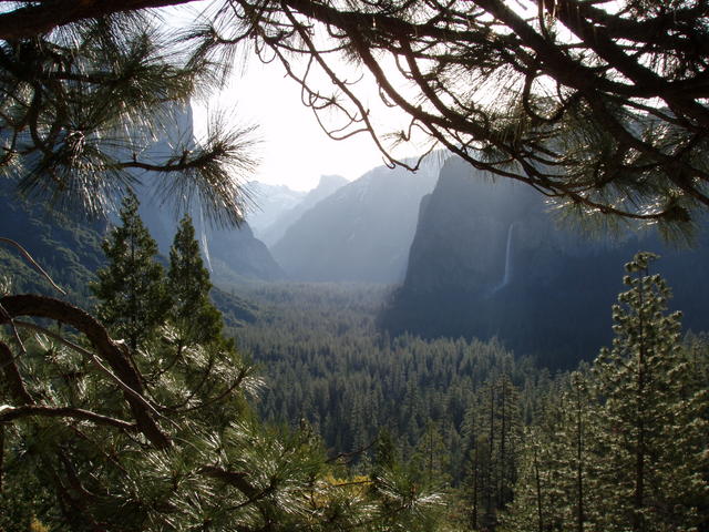 Tunnel View -- Morning