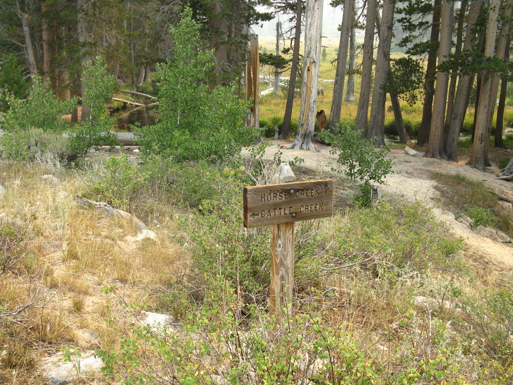 Yosemite 2013 257