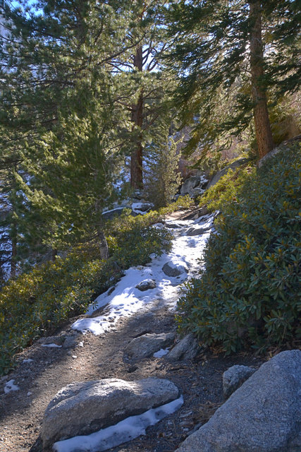 Whitney Trail with snow and ice