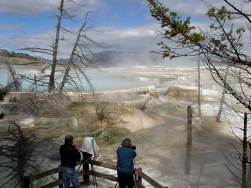 Taking pictures at Mammoth Hot Springs