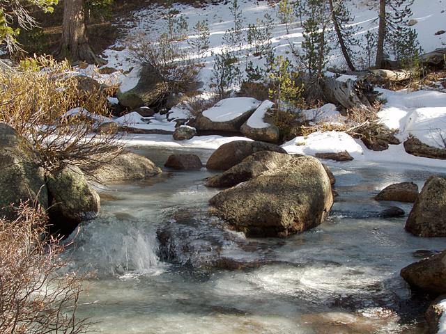 Dana Fork Looking Quite Icy