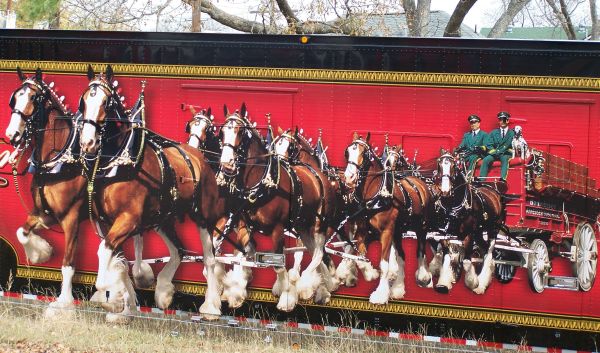 Marshall, Texas, Clydesdales