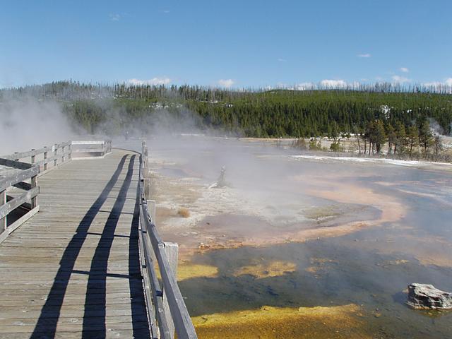 Walkway and Runoff at Biscuit Geyser Basin