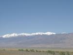 White Mountains from the Owens Valley
