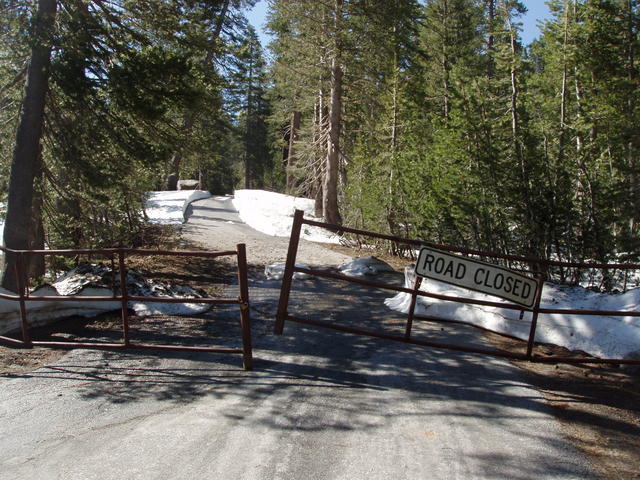 Yosemite Creek Campground Road June 24, 2005