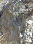 Rock Climbing San Antonio Creek