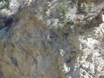 Rock Climbing San Antonio Creek