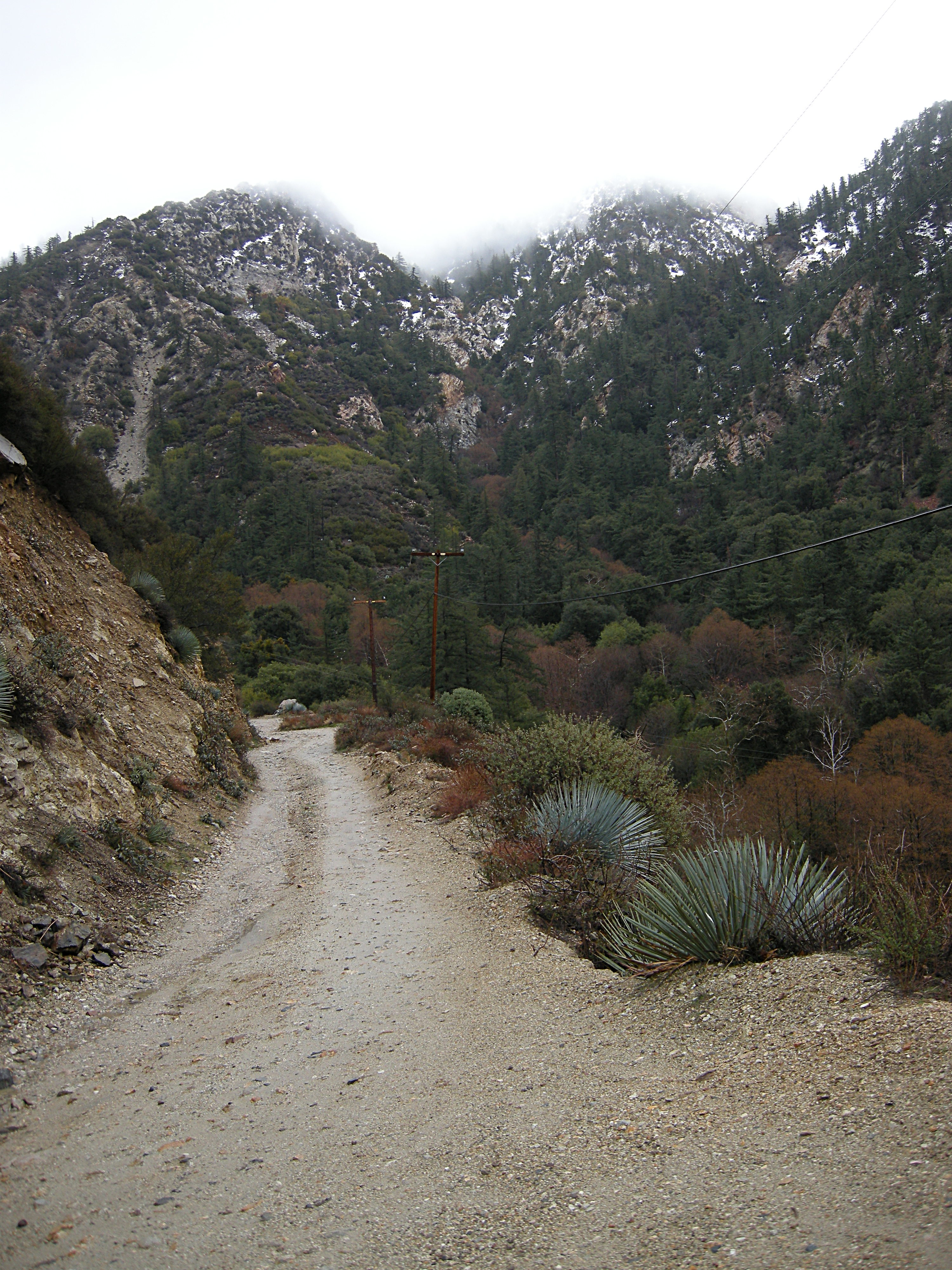 Barrett Canyon Road