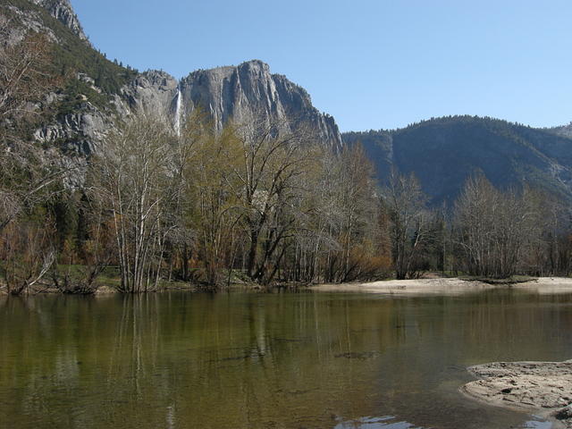 Merced River and Yosemite Falls in Spring
