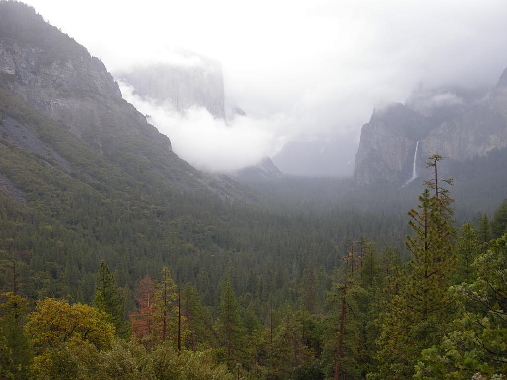 Yosemite Valley on a Stormy Day