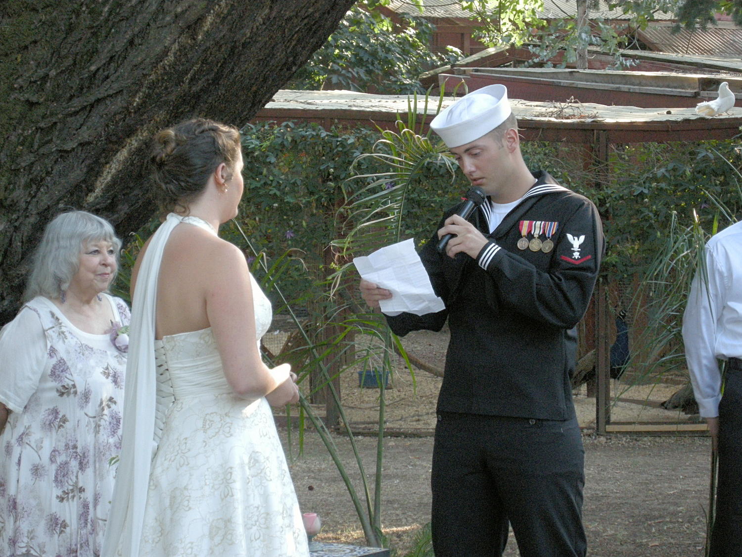 Reading His Vows