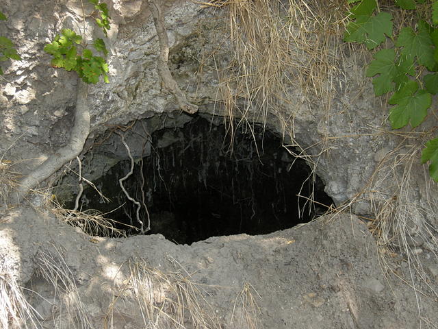 Bee Hive in a Cave