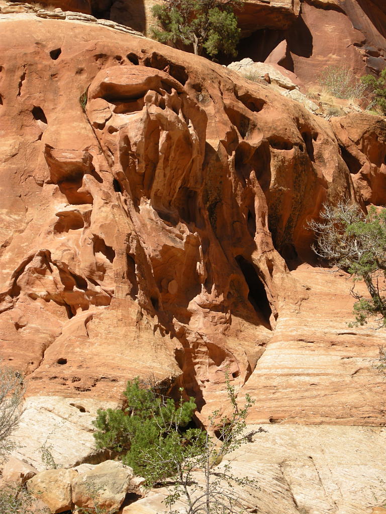 Wall Formations, Capitol Reef National Park