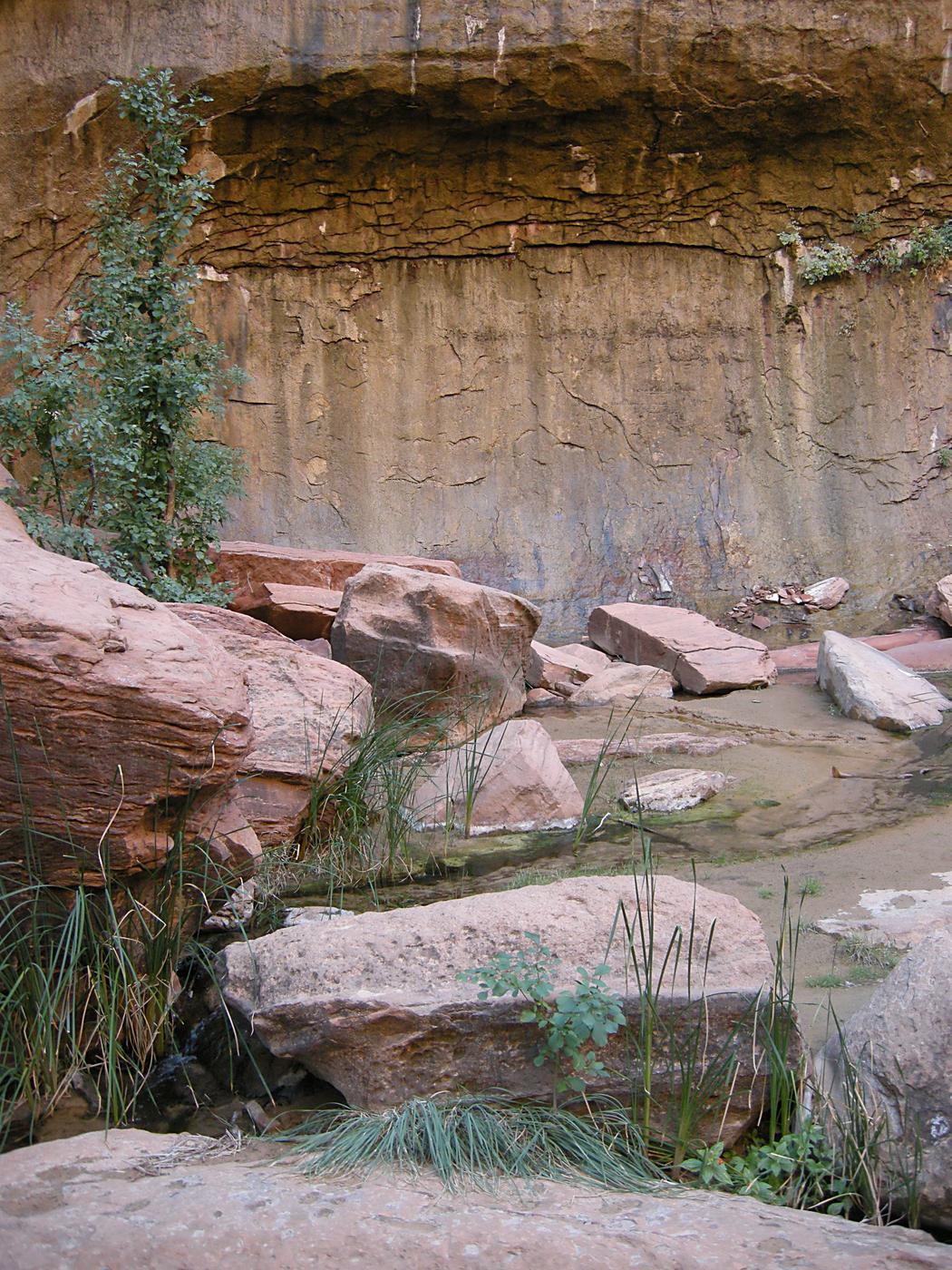 Weeping Wall and Pool, Zion National Park