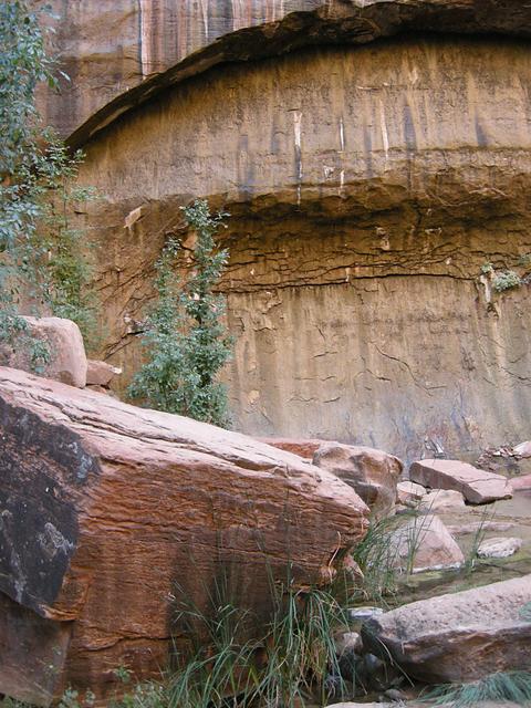 Weeping Wall, Zion National Park